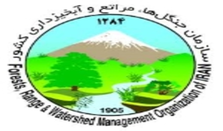 سهم سازمان جنگل‌ها از بودجه ۱۴۰۰/افزایش چشمگیر بودجه بیابان‌زدایی کشور