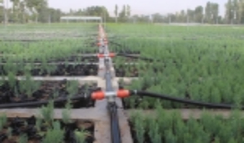 عملیات آبخیزداری، جنگل‌کاری و بیولوژیکی امسال در ۴۸ هزار و ۶۶۰ هکتار از حوزه‌های آبخیز این استان اجرایی می‌شود