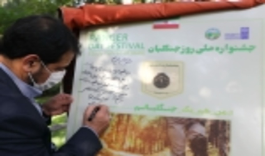 تقدیر از جنگلبانان نمونه