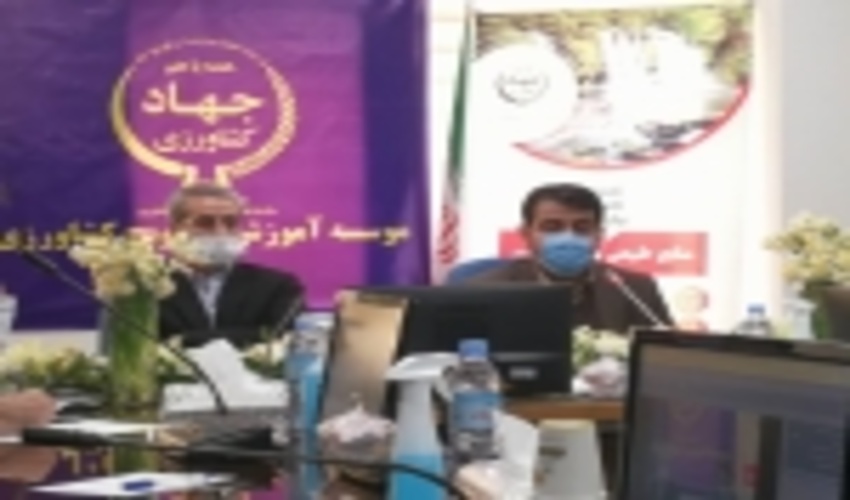 رییس سازمان جنگل ها: در برابر قطع یک درخت مسئول هستیم