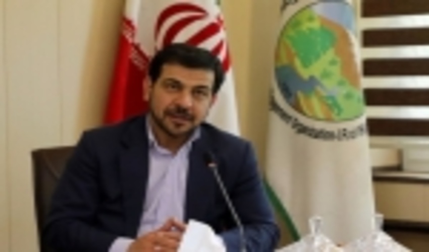 سرپرست سازمان جنگل‌ها، مراتع و آبخیزداری کشور منصوب شد
