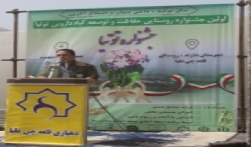 نخستین جشنواره گیاه دارویی توتیا در روستای قلعه چی علیا، بخش زالیان شهرستان شازند برگزار شد.