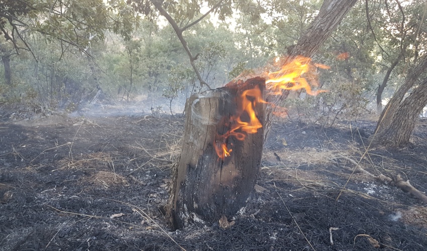 نشست دهگردشی در شهرستان آشتیان برگزار شد.