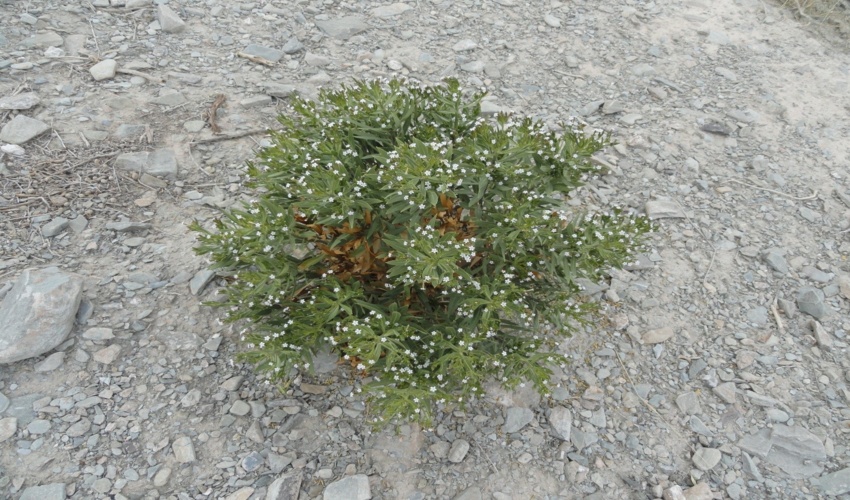 نشست مشترک اداره آموزش، ترویج و مشارکت های مردمی اداره کل منابع طبیعی با اداره آموزش و پرورش شهرستان زرندیه برگزار شد.