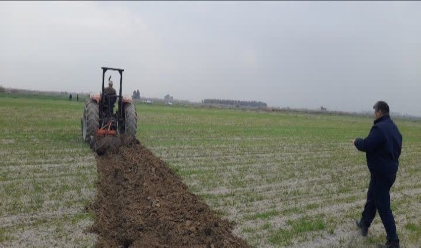 برگزاری مراسم کاشت نهال به مناسبت هفته منابع طبیعی در پارک سرچشمه دلیجان