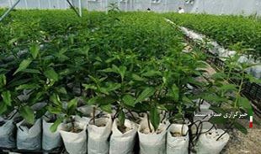 برگزاری سه برنامه در سه مدرسه