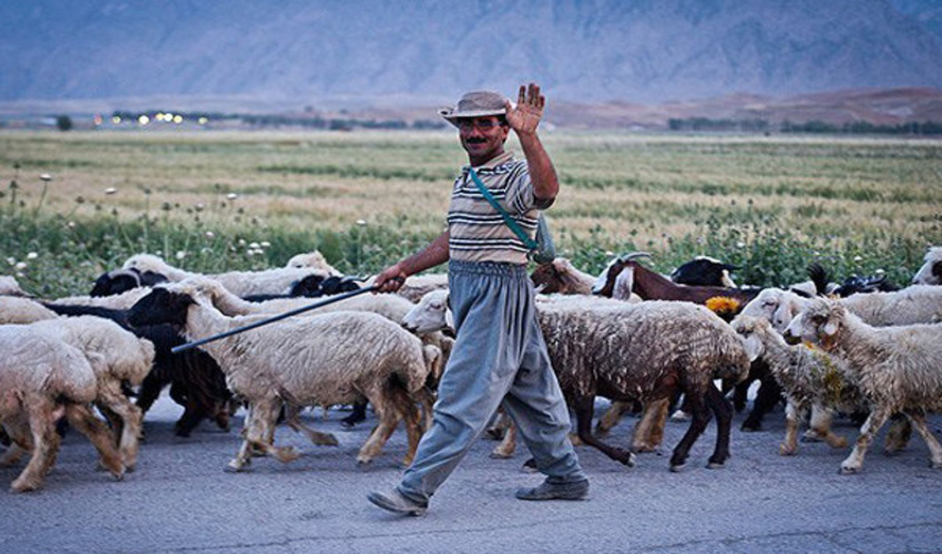 آگهی فراخوان مناقصه عمومی یک مرحله ای 