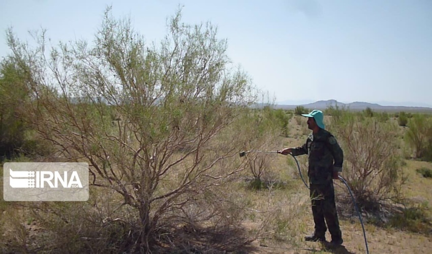 پروژه مدیریت جامع آبخیزداری استان مرکزی در دست اجرا است