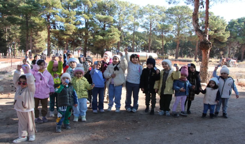 200هزار اصله نهال آماده توزیع در استان مرکزی است