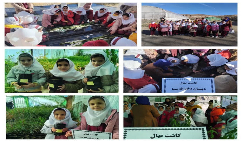 178 هکتار از مراتع استان مرکزی در آتش سوخت