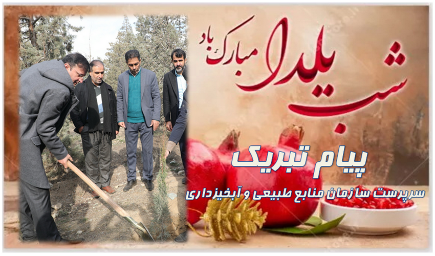 947هکتار از اراضی خلع‌ید شد