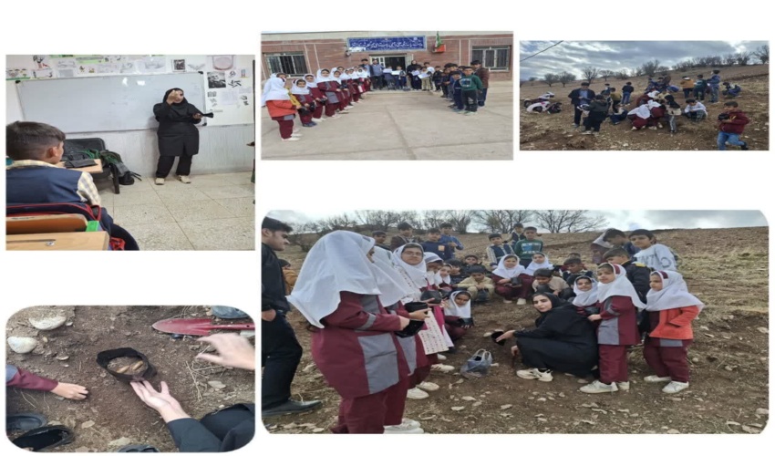 تاکید بر توسعه فضای سبز در نشست مشترک سازمان جنگل‌ها با وزارت نفت