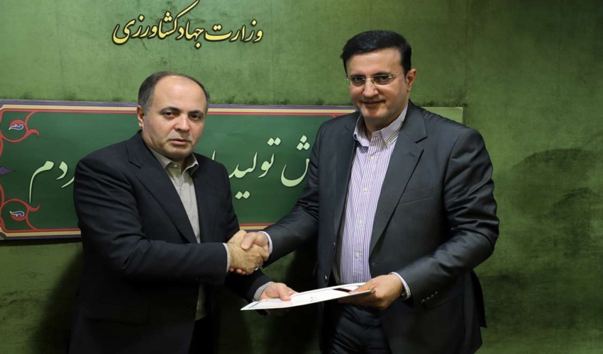 تاکید رییس جمهور بر توسعه زراعت چوب در کشور