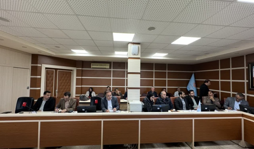 ويدئو توليد نهال صنوبر 