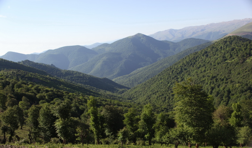 عملیات آبخیزداری در مشهد اردهال دلیجان کلید خورد