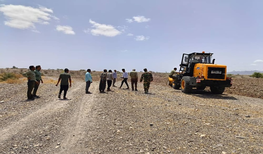 گیاهان بومی کویر میقان احیا شدند