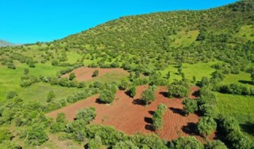 تشدید اقدامات حفاظتی در منابع طبیعی با استفاده از روشهای نو