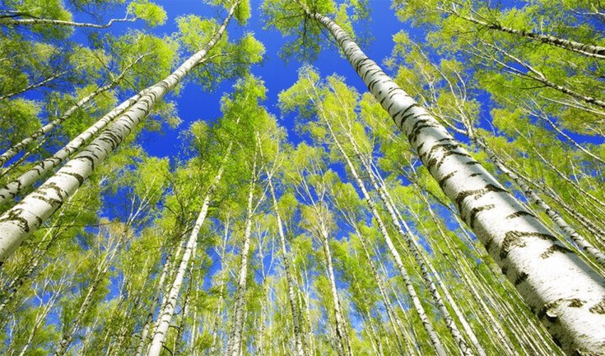 برگزاری مراسم عزاداری امام حسین (ع) و  قرائت زیارت عاشورا  