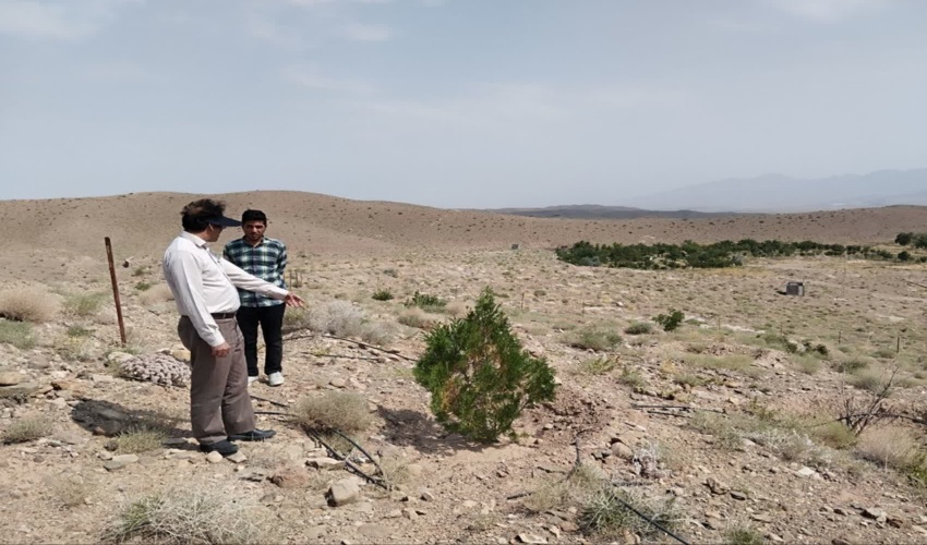 اجرای برنامه‌های پیشگیرانه و صیانت از اراضی ملی اولویت اصلی دستگاه قضایی است و برای تحقق این مهم با متخلفان برخورد قاطعانه می‌شود.