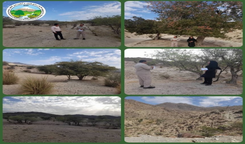 ۱۸ طرح آبخیزداری استان مرکزی در دولت سیزدهم بهره‌برداری شد