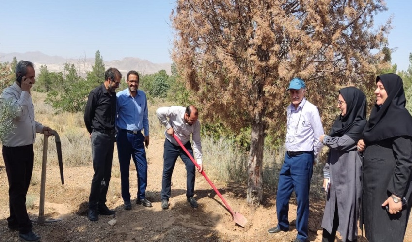 بازدید رئیس و کارشناسان گروه گیاه پزشکی سازمان منابع طبیعی و آبخیزداری کشور از پارک جنگلی پانزده خرداد شهرستان دلیجان