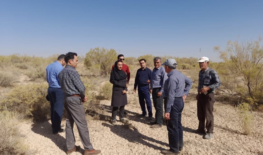 معاون دفتر بیابان سازمان منابع طبیعی و آبخیزداری کشور از طرح‌های بیابان زدایی اراک و زرندیه بازدید کرد.