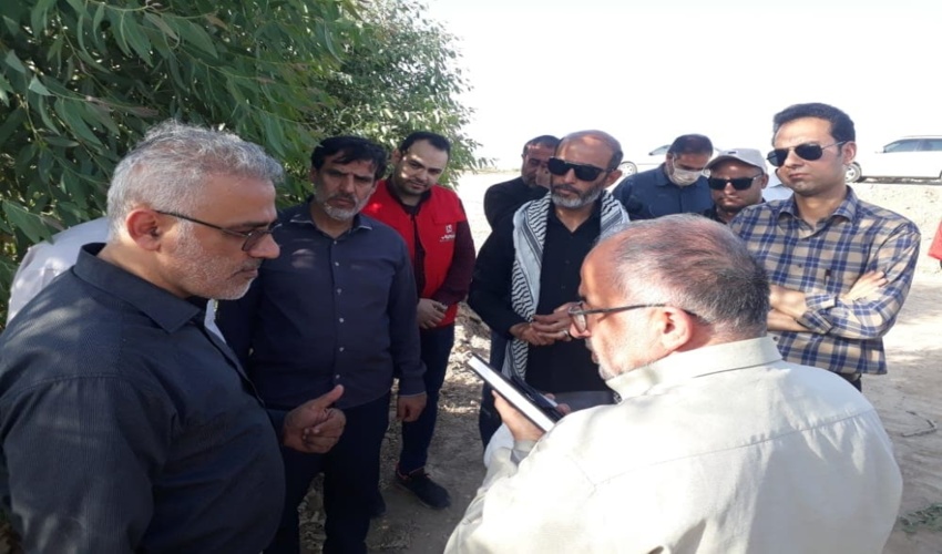 برنامه‌ریزی برای کاشت یک میلیارد نهال در کشور تا ۴ سال آینده