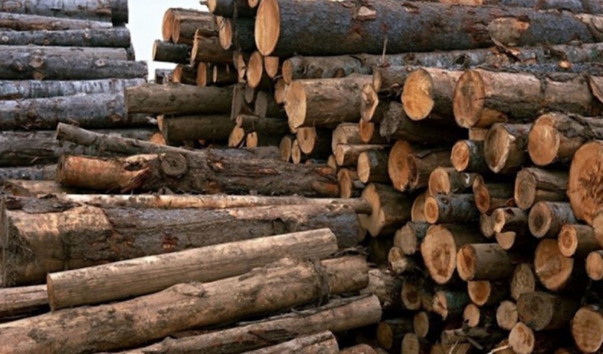 تاکید رییس سازمان منابع طبیعی کشور بر شفاف سازی آمار عملکرد و اقدامات