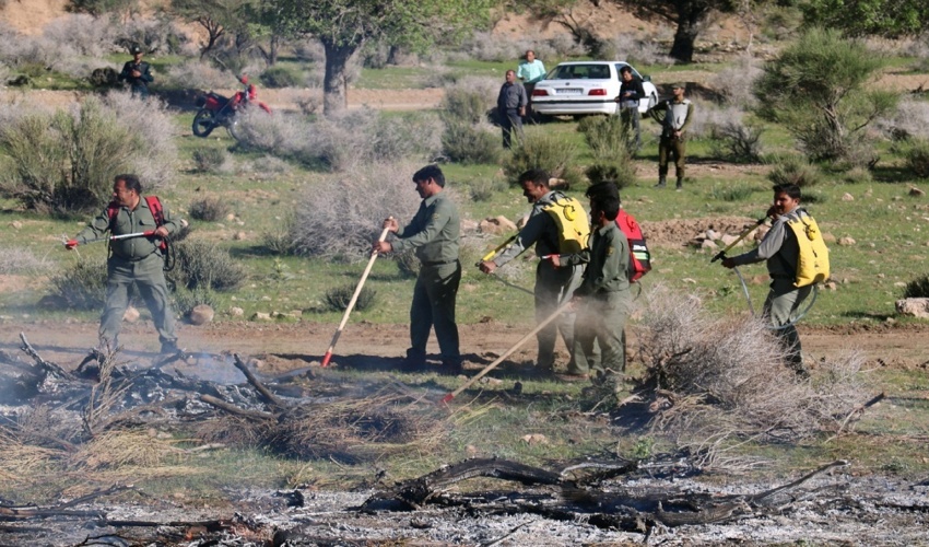 ۹۰۰ میلیارد ریال به اجرای طرح‌های جنگل کاری در استان مرکزی اختصاص یافت