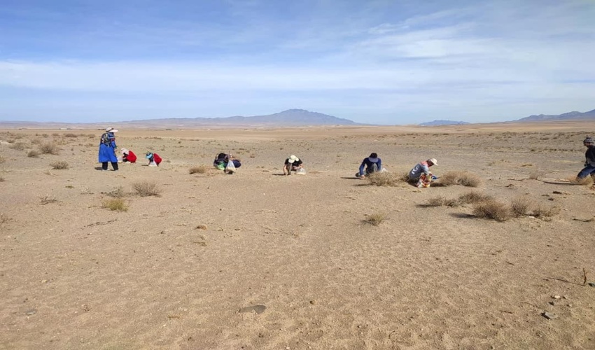 عملیات بیولوژیک طرح مرتعداری مزارع دو گوش و مراد آباد شهرستان آشتیان آغاز شد.