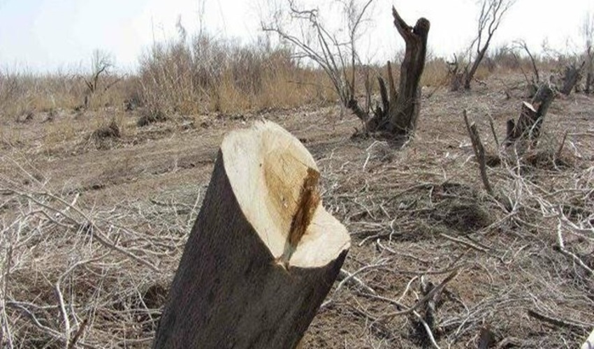 آبخیزداری، مناسب ترین روش برای کاهش خسارت سیل و خشکسالی است