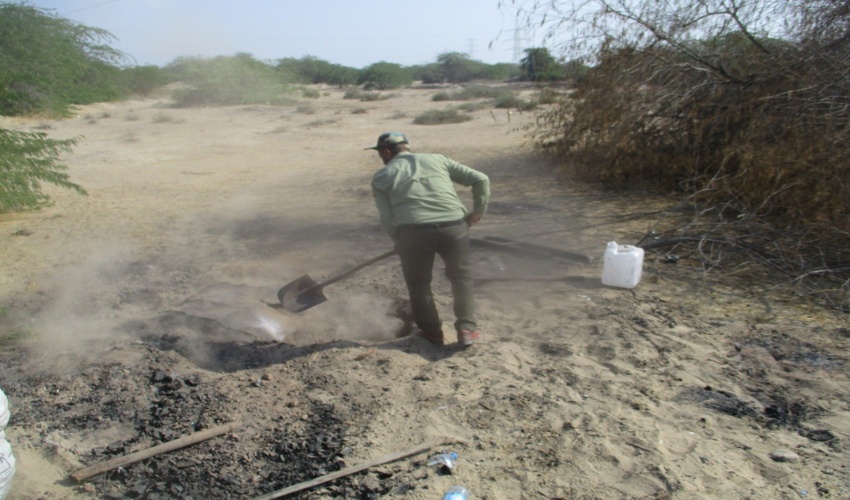 کپه‌کاری و بذرکاری در ۲۰۰ هکتار از مراتع آشتیان آغاز شد.