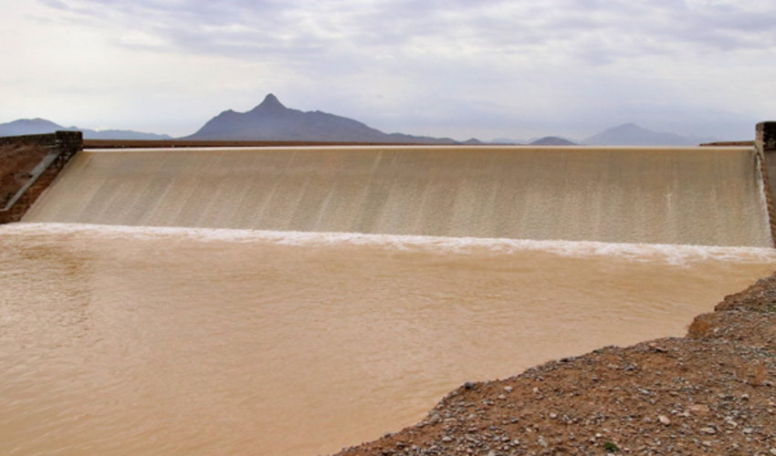 منابع طبیعی؛ مصمم تر از همیشه در تولید و کاشت یک میلیارد نهال در کشور