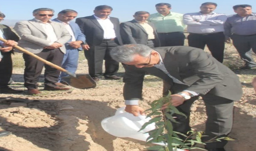 مقام معظم رهبری: هر ایرانی سه درخت بکارد، کاشت یک میلیارد نهال در چهار سال محقق می‌شود