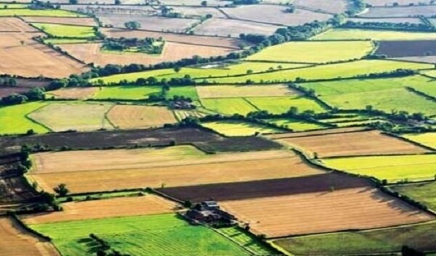 نقش پنجره واحد مدیریت زمین در حفظ جنگل‌ها و منابع طبیعی