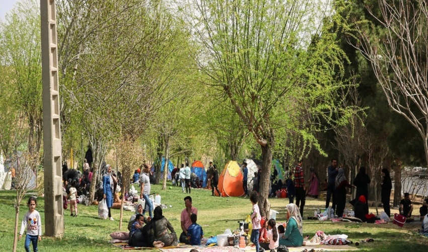 دفاع از جنگل به چه قیمتی/ داستانی دنباله دار که هر بار تکرار می شود؟!