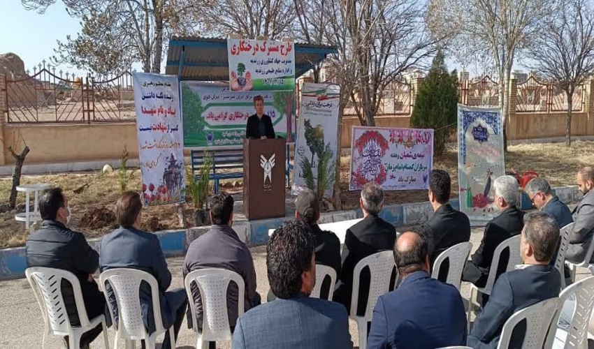 کاشت ۴۰۰ درخت در محلات