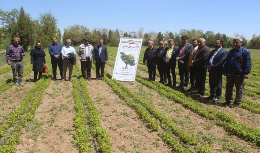 بازدید نمایندگان تعدادی از صنایع استان از روند تولید نهال در نهالستان اراک