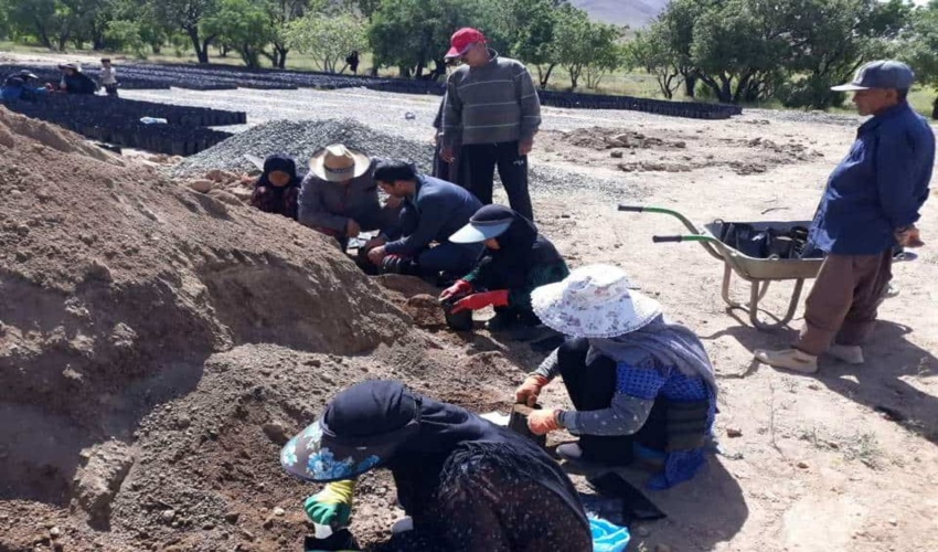 بازدید  رئیس اداره جنگلداری و جنگلکاری اداره کل منابع طبیعی و آبخیزداری استان مرکزی از روند گلدان گیری و تولید نهال بادام کوهی