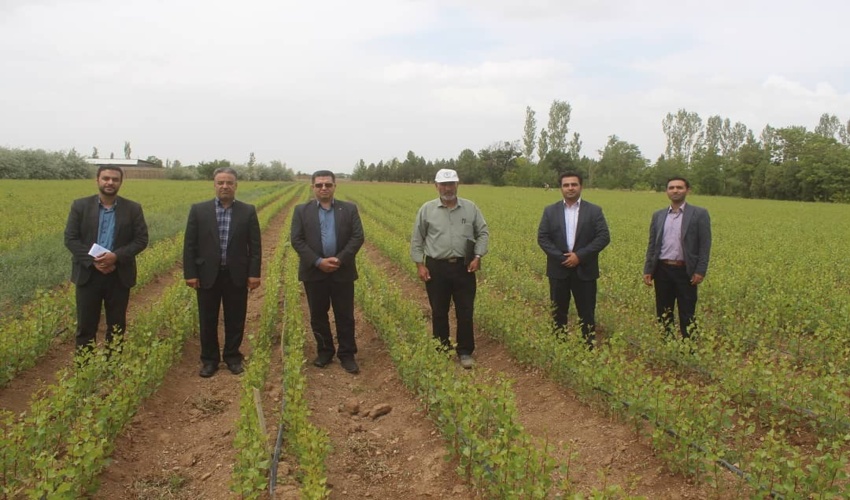 گزارش تصویری -بازدید دکتر صبور و دکتر اخوان ناظرین طرح مردمی کاشت یک میلیارد درخت از نهالستان های چقا و  اراک استان مرکزی