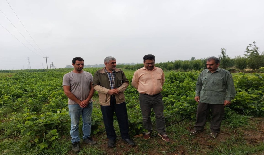 نشست رفع مسائل و مشکلات مردمی در شهرستان ساوه