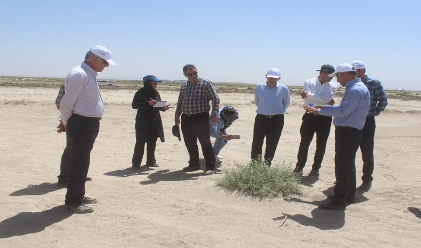 سالانه یک میلیون هکتار به بیابان‌های کشور افزوده می‌شود