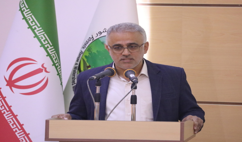 تاکید رئیس سازمان منابع طبیعی کشور بر ایجاد گفتمان جدید برای جلوگیری از تخریب سرزمین!