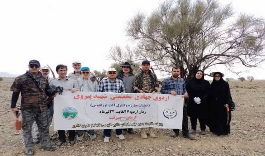 خدمات جهادگران در جهت تقویت نظام اسلامی است