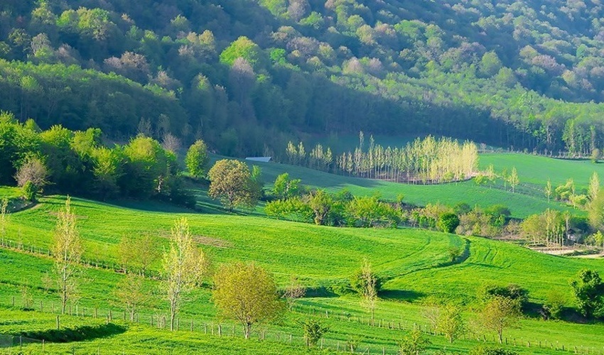 نقش غیرقابل انکار "چمنزارها" در مهار فرونشست/ تهدید چمنزارها به واسطه کشاورزی ناپایدار