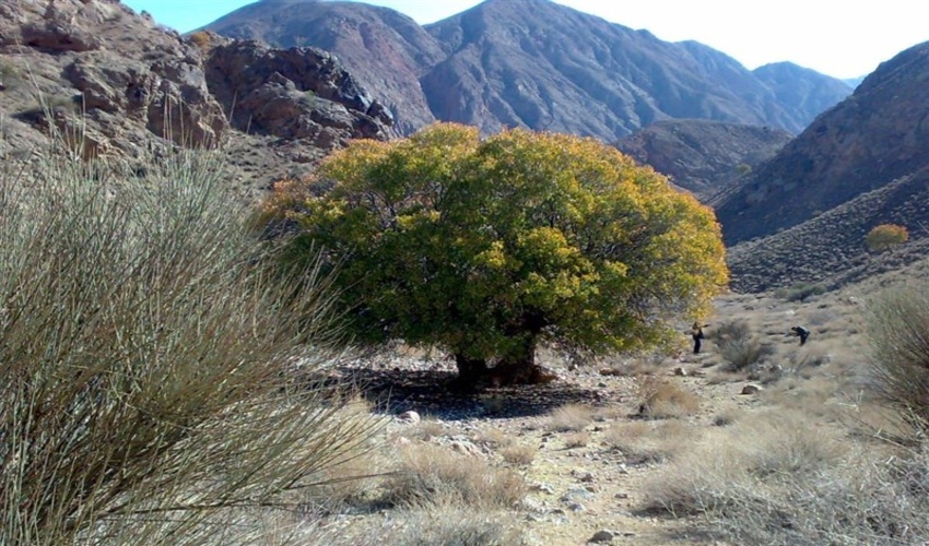 کنترل نود و پنج میلیون متر مکعب روان آب توسط طرح های آبخیزداری در استان مرکزی 