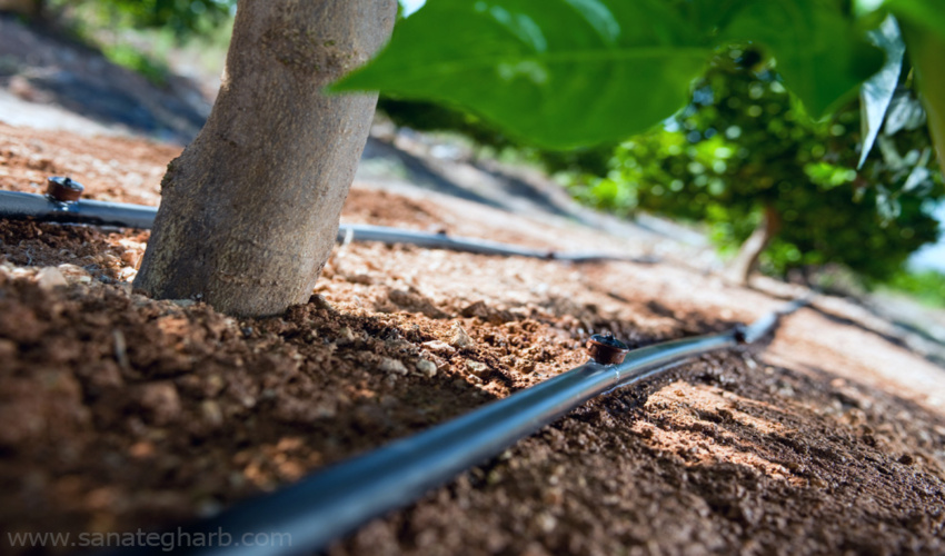 ضرورت تامین پهپاد برای کنترل حریق در استان مرکزی