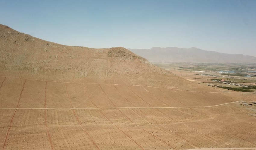 ۳۵۰ هکتار از طرح جنگل‌کاری چپقلی اراک به سامانه آبیاری نوین تجهیز شد