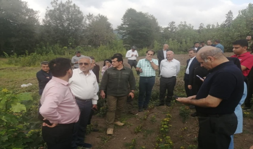 برآورد اعتبار ۱۸ هزار میلیارد تومانی طرح مردمی کاشت یک میلیارد درخت