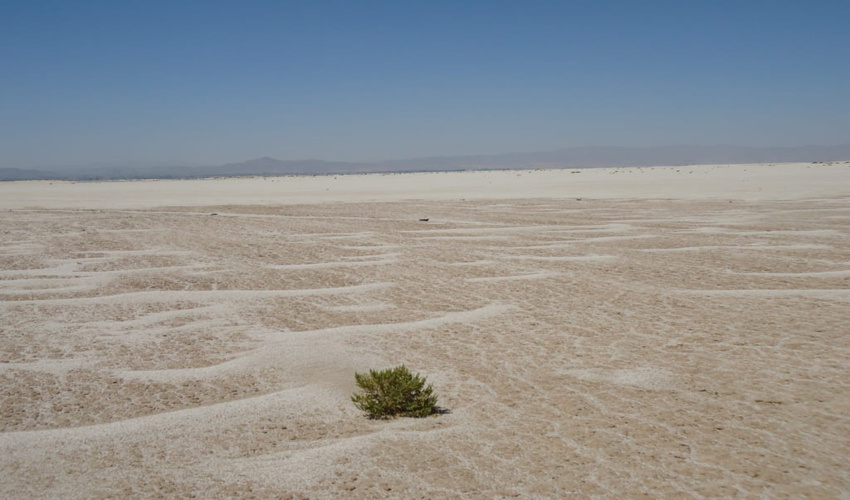 واگذاری پارک‌های جنگلی محدوده شهر‌ها به شهرداری